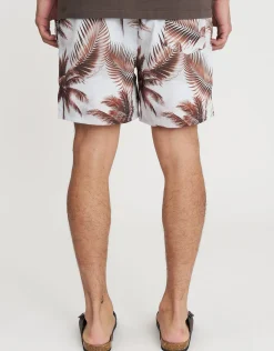 Corsica Palms Swim Shorts in Chocolate