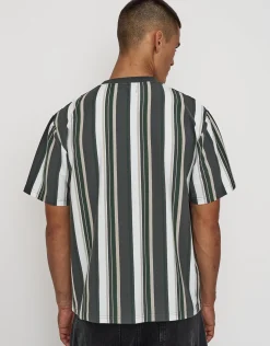 Ivy Striped Relaxed Fit Short Sleeve T Shirt in Multi