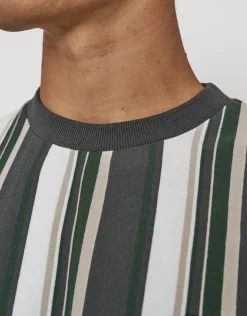 Ivy Striped Relaxed Fit Short Sleeve T Shirt in Multi
