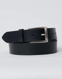 Leather Master Belt in Brown