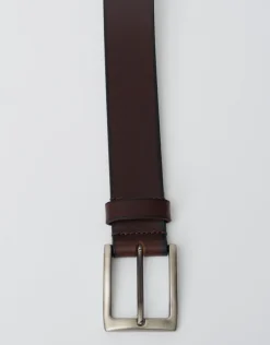 Leather Master Belt in Brown