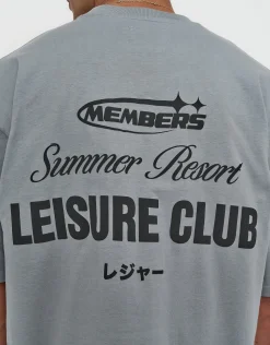 Leisure Summer Cropped Box Fit T Shirt in Pebble
