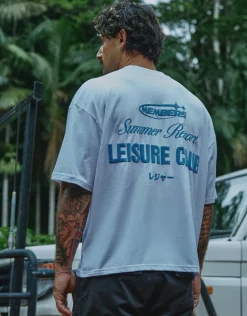 Leisure Summer Cropped Box Fit T Shirt in Pebble