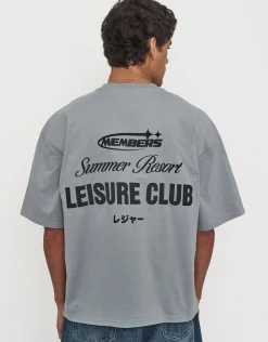 Leisure Summer Cropped Box Fit T Shirt in Pebble