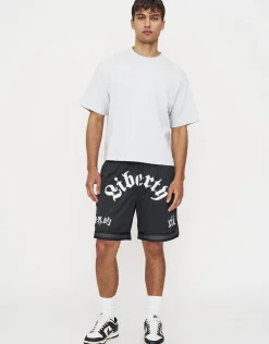 Liberty Basketball Shorts in Pebble