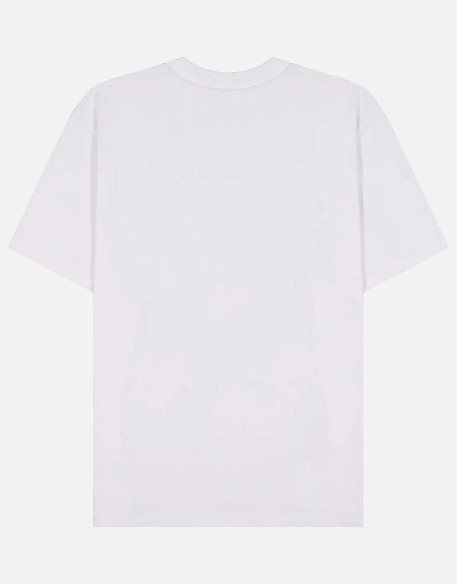 Perfect Relaxed Fit T Shirt in Cloud