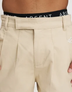 SL Baggy Double Pleated Pants in Stone