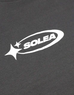 Solea Cropped Fit T Shirt in Pewter Grey