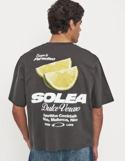 Solea Cropped Fit T Shirt in Pewter Grey