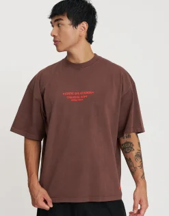 Static Studios Rose Box Fit T Shirt in Bitter Brown