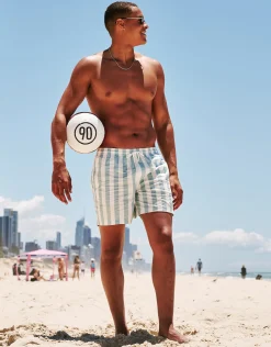 Summer Club Striped Swim Shorts in Pewter Grey