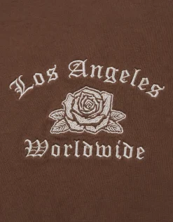 Worldwide Embroidered Graphic Box Fit T Shirt in Bitter Brown